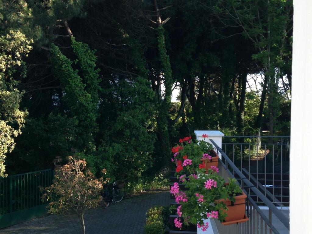 Residence Casa Bianca Marina di Massa Kültér fotó